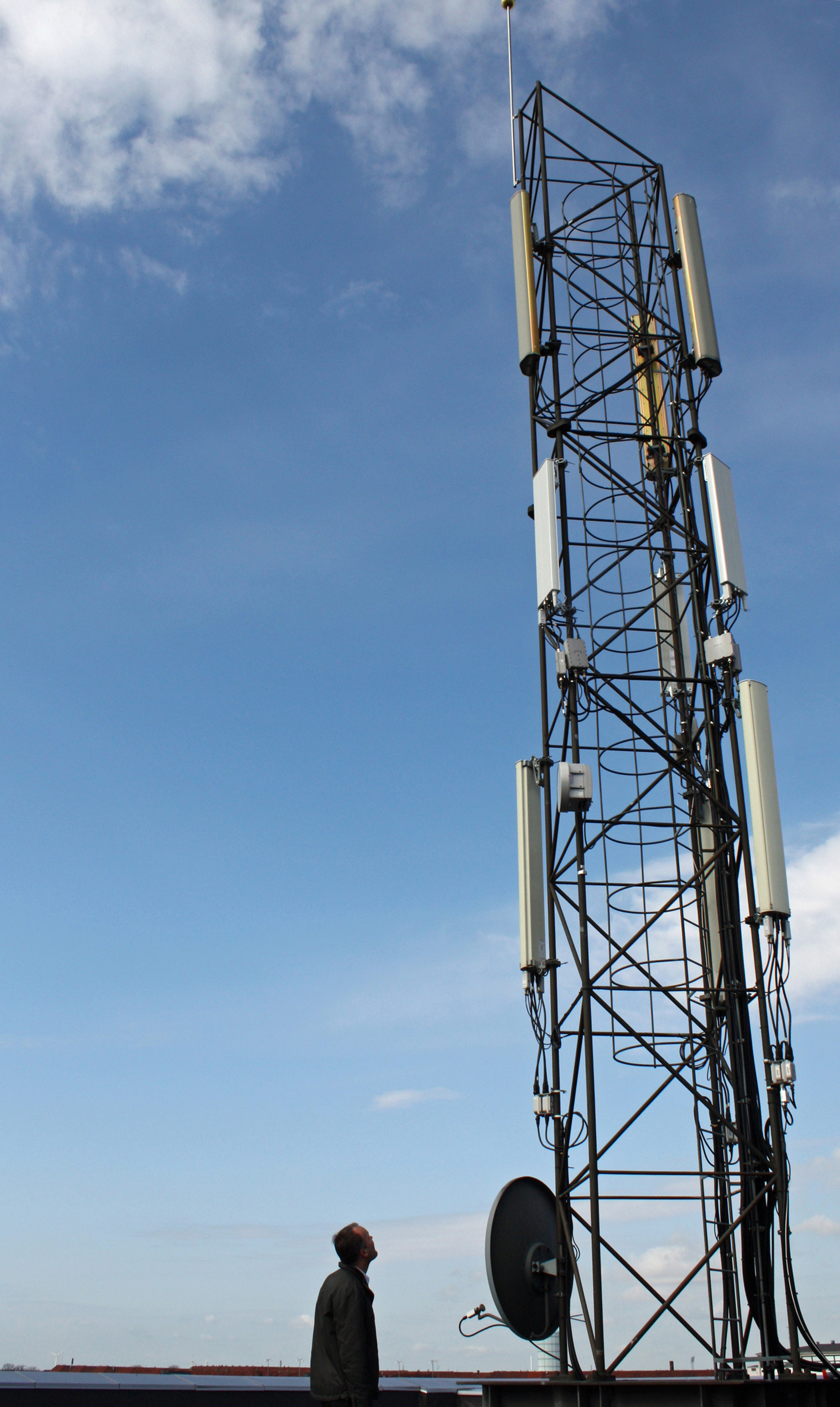 Mast
