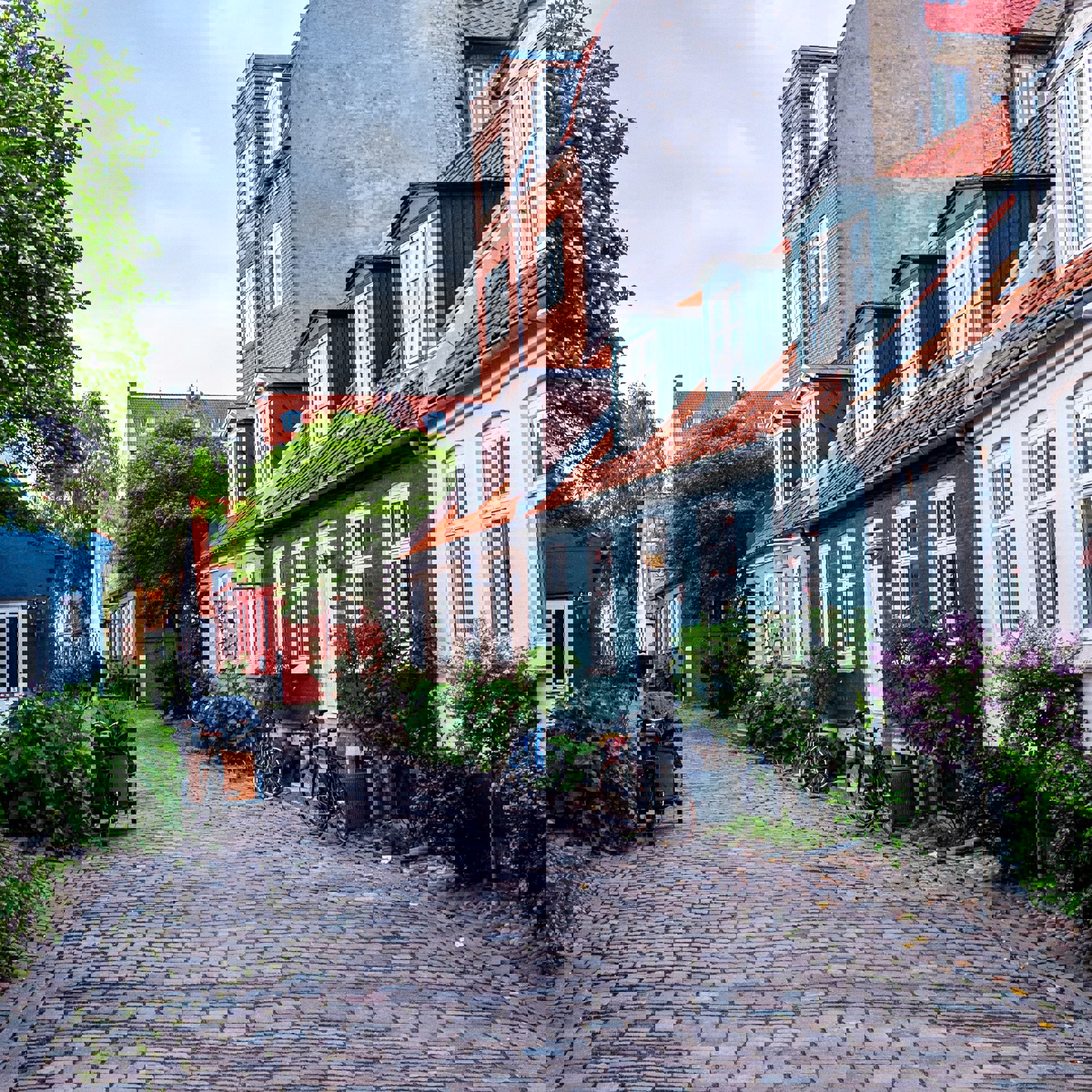 Steffen Muldbjerg Smmve8xph90 Unsplash