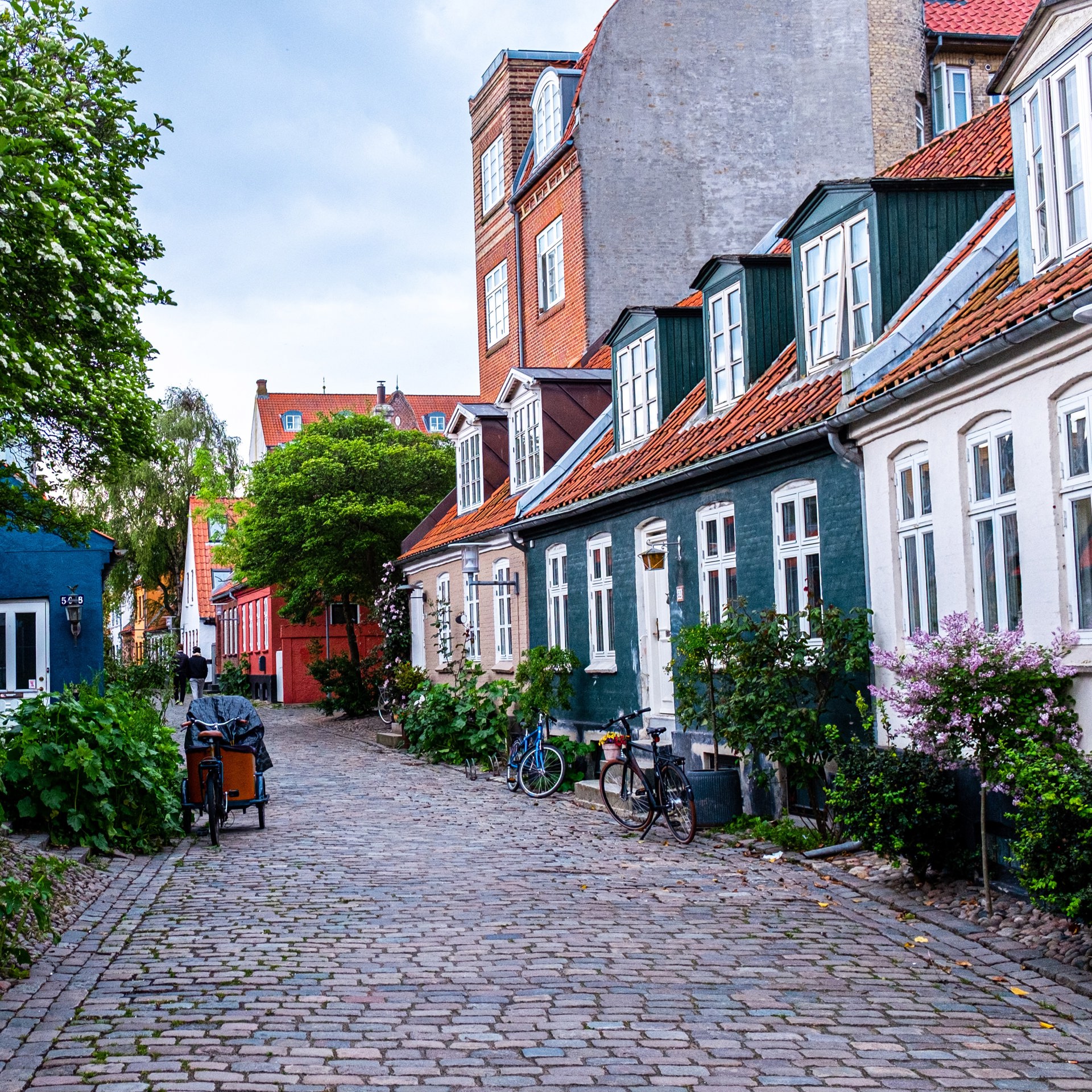 Steffen Muldbjerg Smmve8xph90 Unsplash